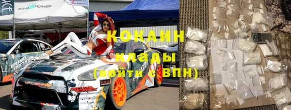 твердый Арсеньев