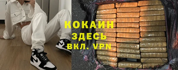 твердый Арсеньев