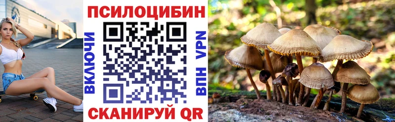 Галлюциногенные грибы MAGIC MUSHROOMS  Покачи 